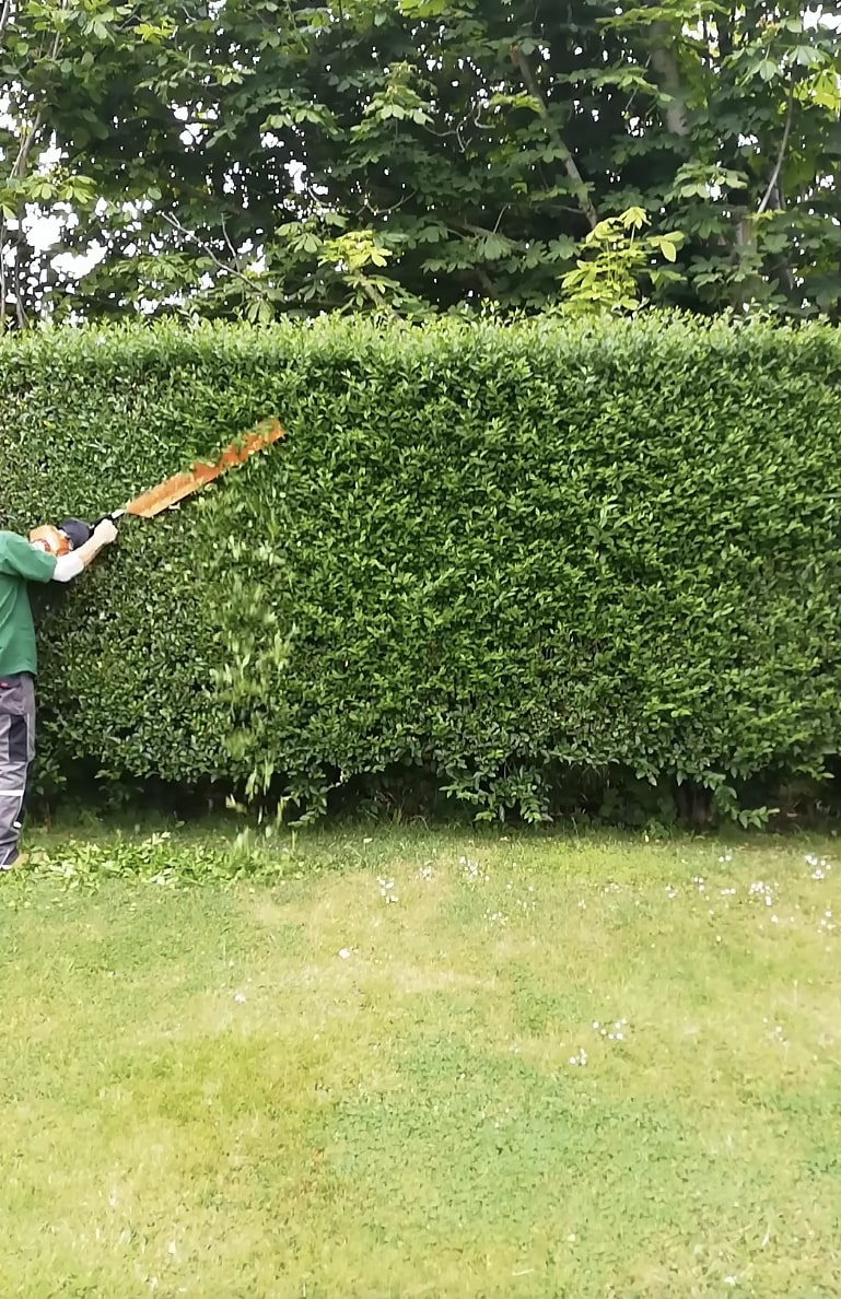 Professional shrub and hedge trimming service in Hoffman Estates, IL