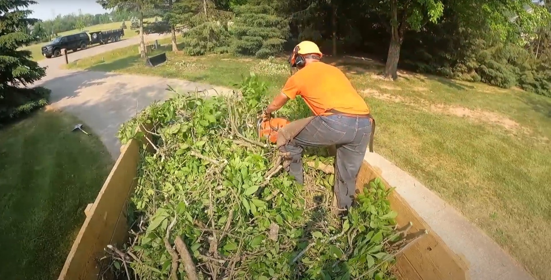 Complete Tree Stump Removal and Land Clearing Tree stump removal and land clearing services in Hoffman Estates, IL