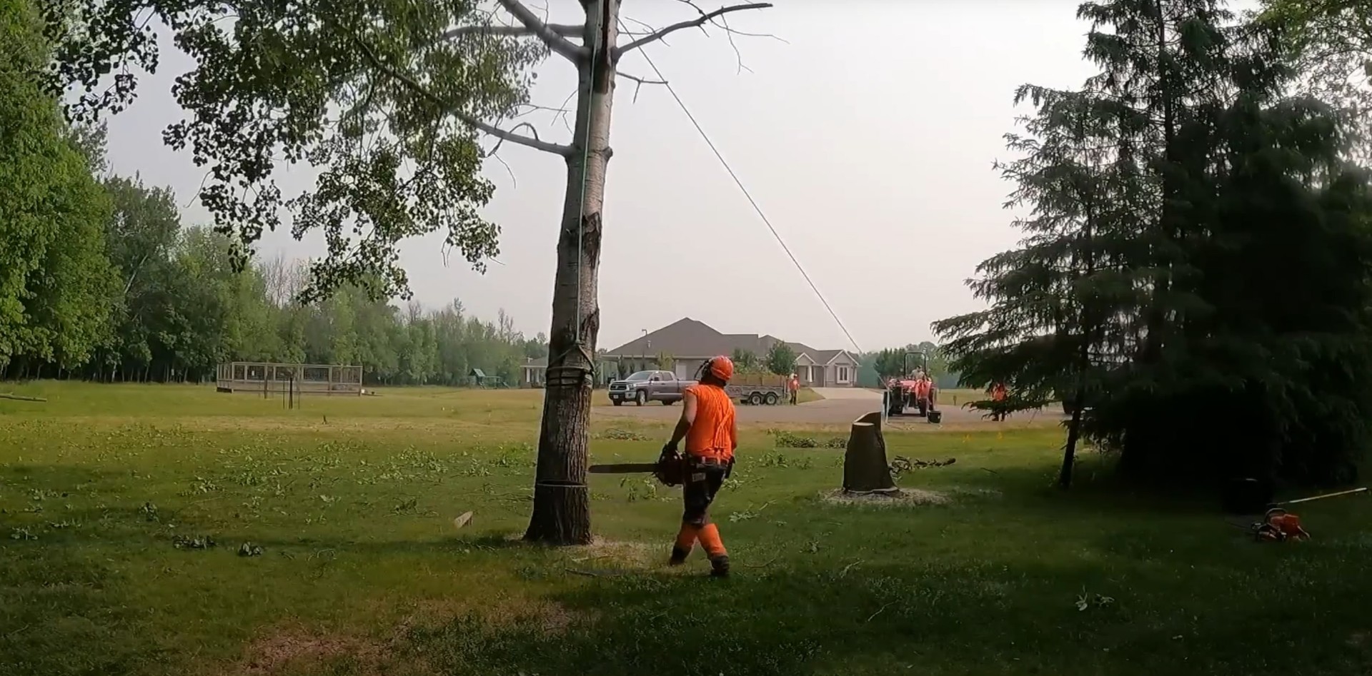 Safe Tree Removal and Cutting Services Professional tree removal crew using chainsaws for safe tree cutting in Hoffman Estates