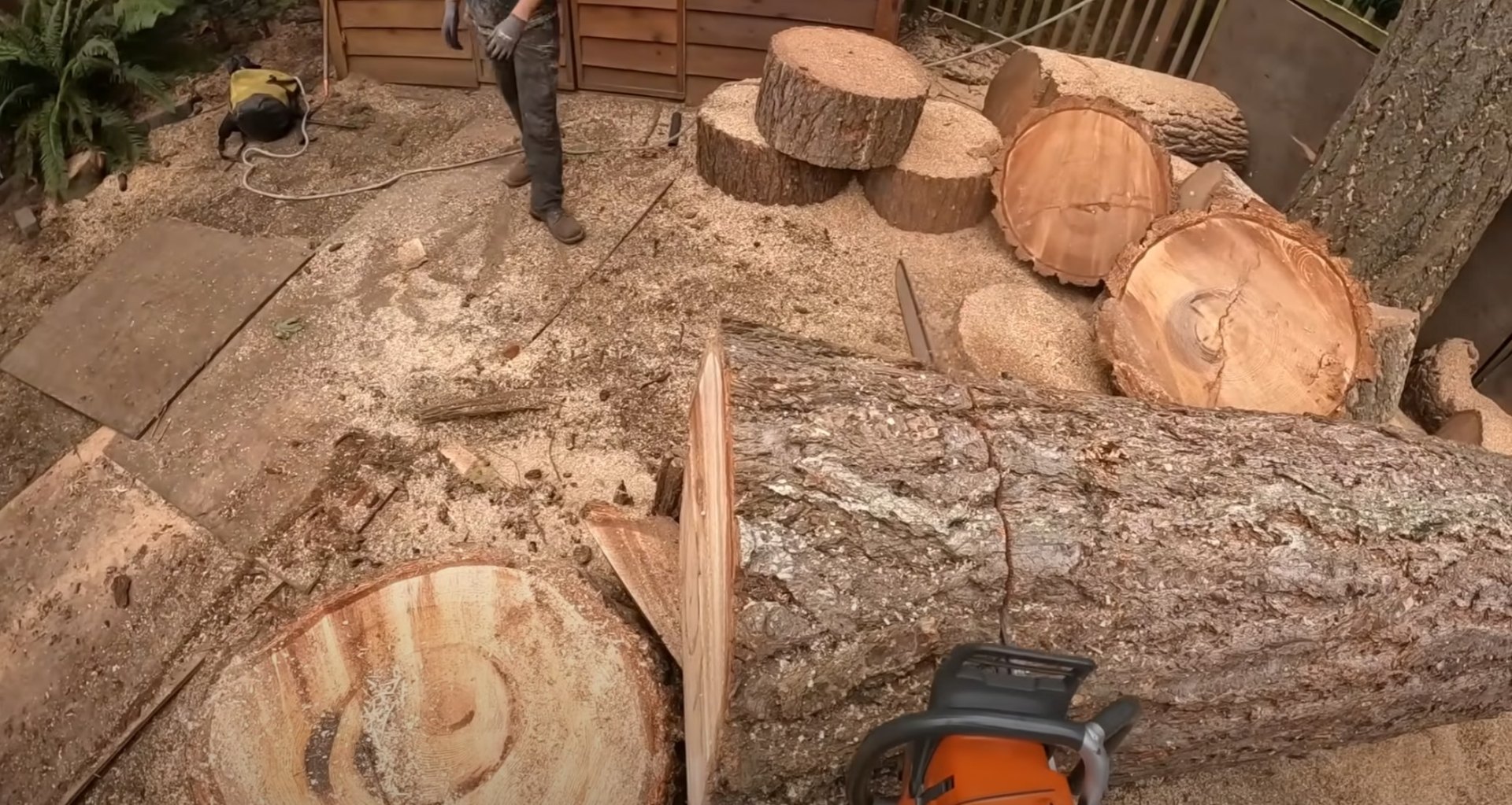 Professional Tree Cutting and Processing Tree cutting and log processing work area showing professional tree service results