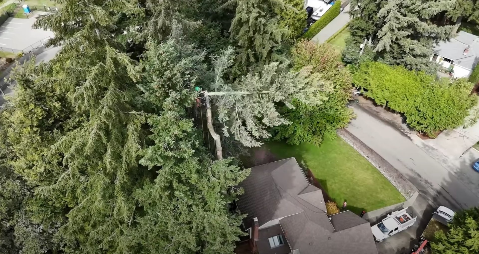 Comprehensive Residential Tree Services Aerial view of comprehensive tree service work around residential property in Hoffman Estates