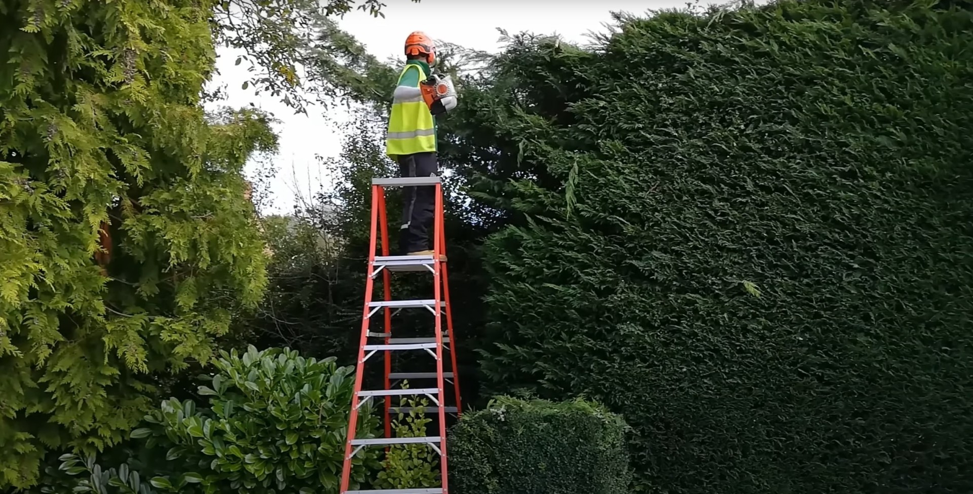 Hedge Trimming and Tree Care Services Professional hedge trimming and tree care services on tall residential hedges