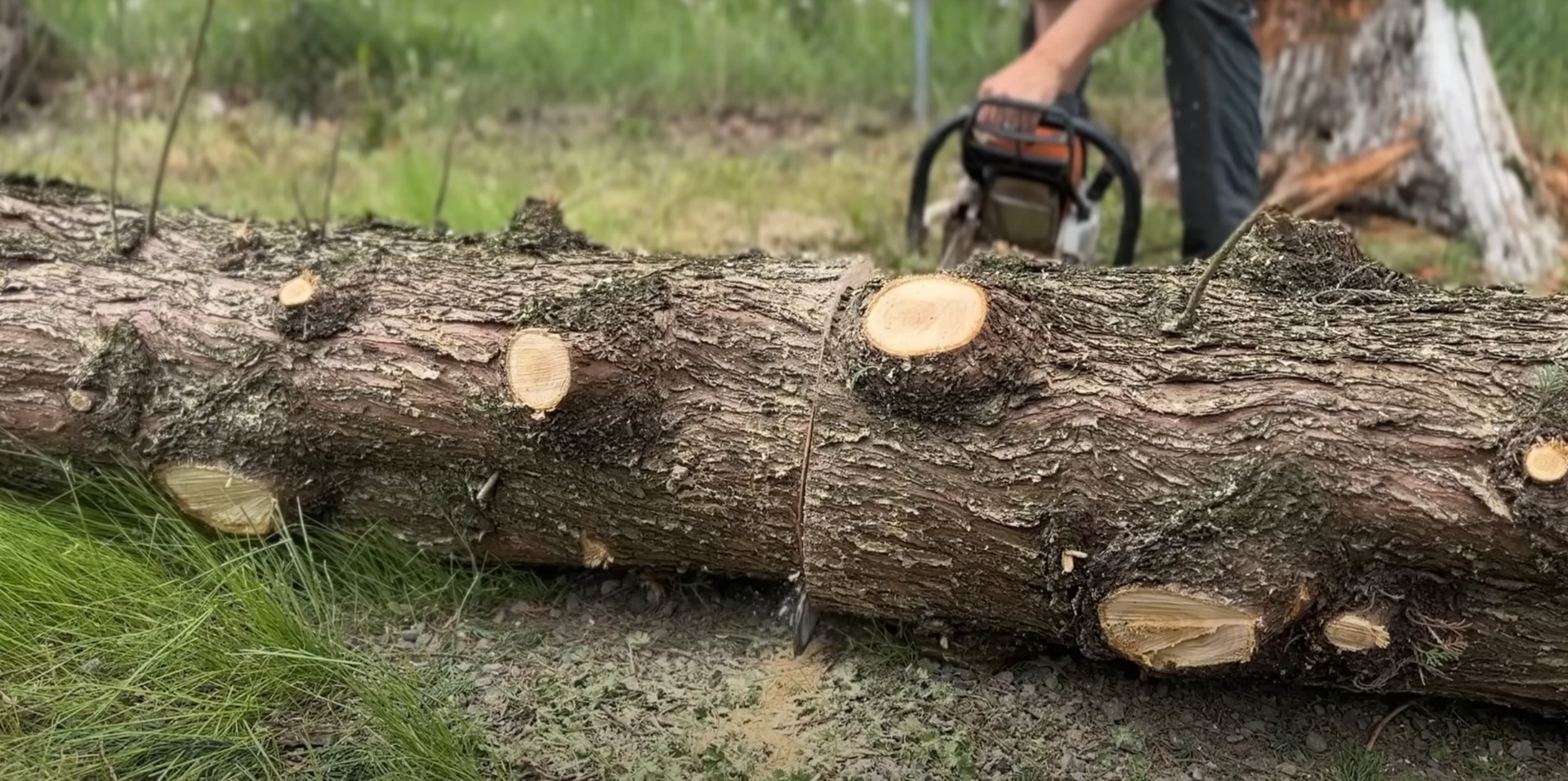 Expert Tree Cutting and Processing Services Professional tree cutting and log processing in Hoffman Estates, IL