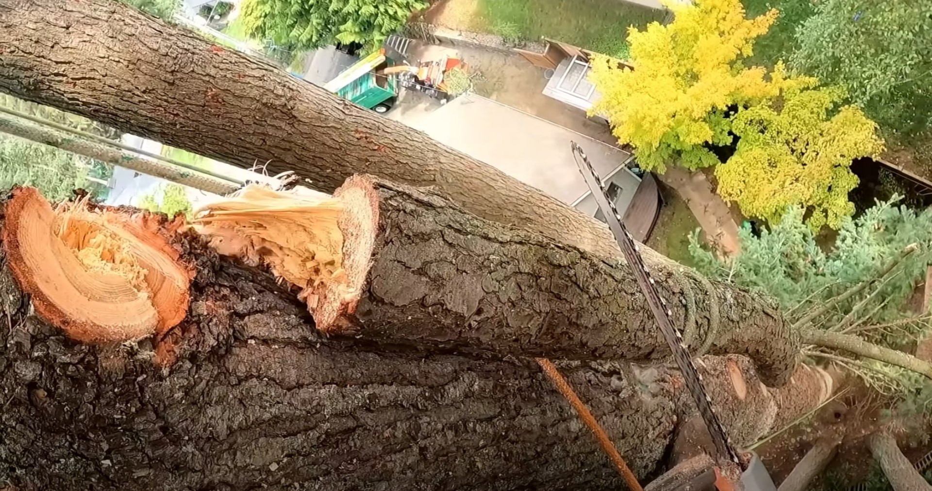 Safe Professional Tree Cutting Services Professional tree cutting with proper safety equipment in Hoffman Estates, IL