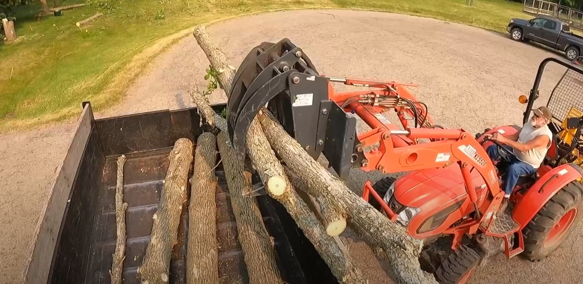Complete Tree Removal and Log Processing Heavy equipment loading cut tree logs for complete tree removal service