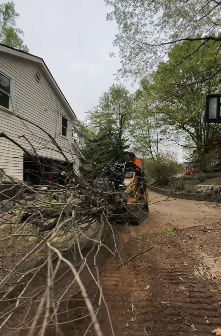 Emergency Tree Cleanup Service Emergency tree cleanup and debris removal after storm damage in Hoffman Estates