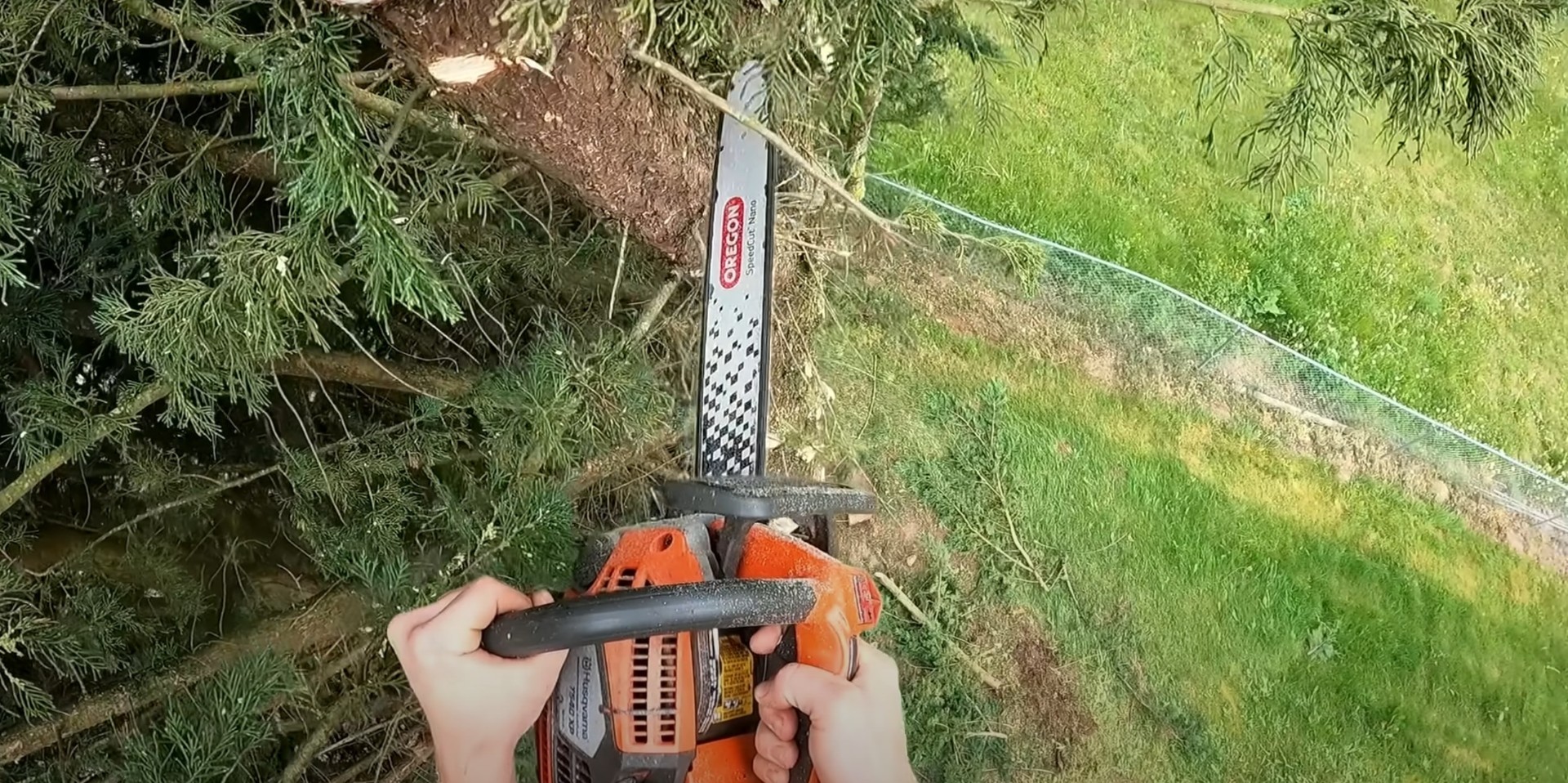 Expert Tree Maintenance and Pruning Tree maintenance and pruning work using professional chainsaw equipment