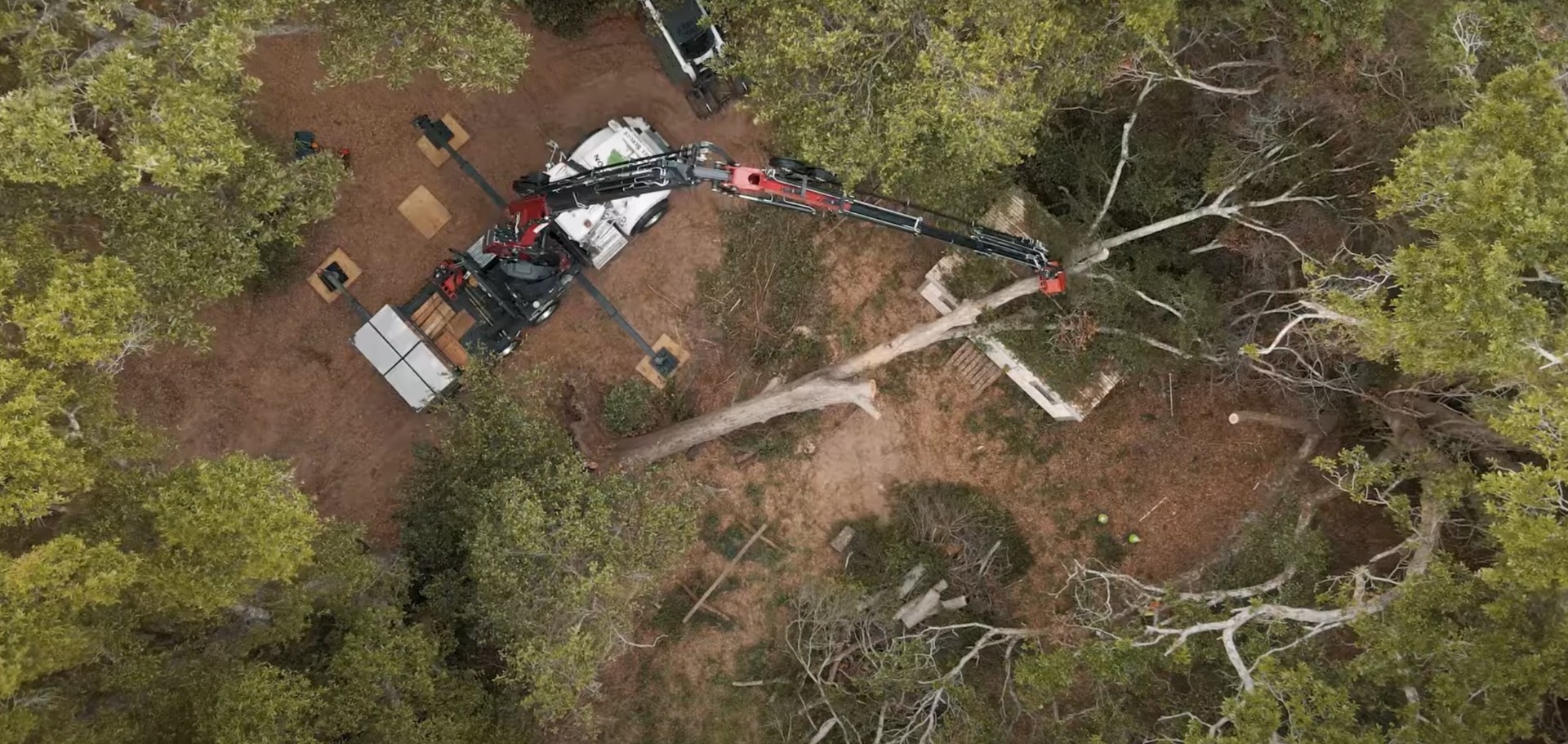 Emergency Tree Removal with Professional Crane Services Emergency tree removal equipment with crane for large tree operations